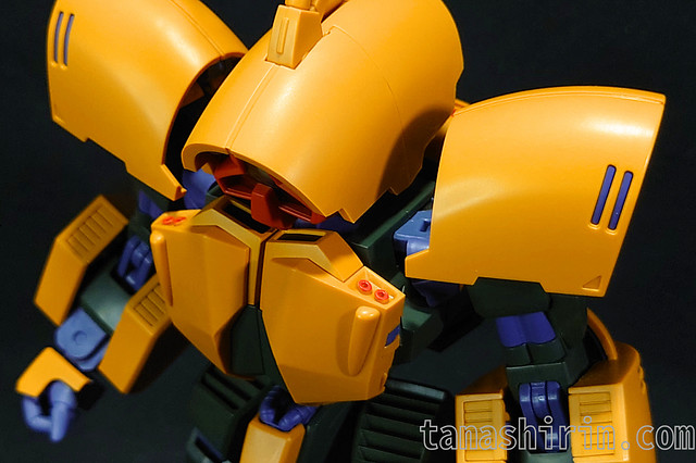 アッシマーの胸部（上から）