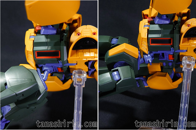 アッシマーの腰部の可動域